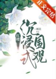 沉浸式围观红楼