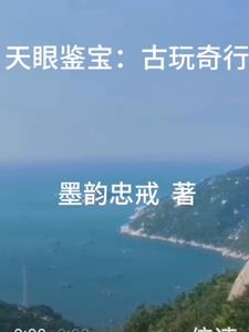 天眼鉴宝：古玩奇行