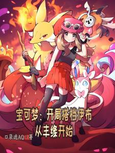 宝可梦：开局搭档伊布从丰缘开始