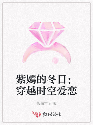 紫嫣的冬日：穿越时空爱恋